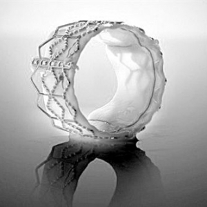 (jng)(do)ֲʽ˹(dng)}ĤRԇ(yn)ָ(do)ԭt