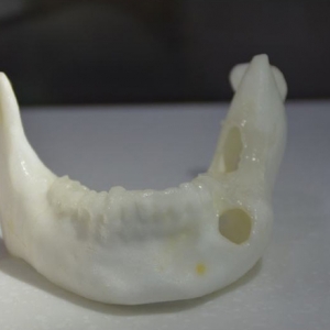 t(y)WcMt(y)a(chn)Ʒu\@˼