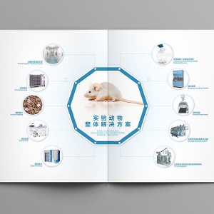 t(y)еоgָԭt һ֣Qԭt