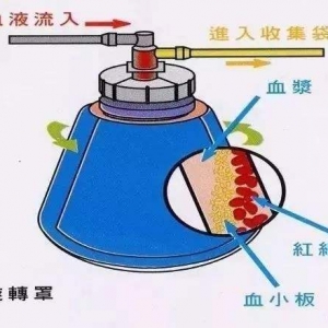 xʽѪҺɷַxO(sh)RurעԼg(sh)ָ(do)ԭt