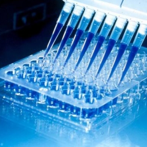 w\ԇעԮa(chn)ƷfĳҊ}()