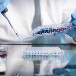 _(ki)չt(y)еע(c)z(yn)