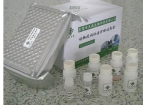 Aͪzyԇע(c)g(sh)ָ(do)ԭt