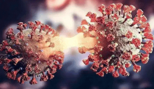 l(f)(yu)¹ڲȾίMt(y)P(gun)֪ͨ