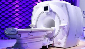 ¼g(sh)m(x)t(y)|(zh)l(f)չ